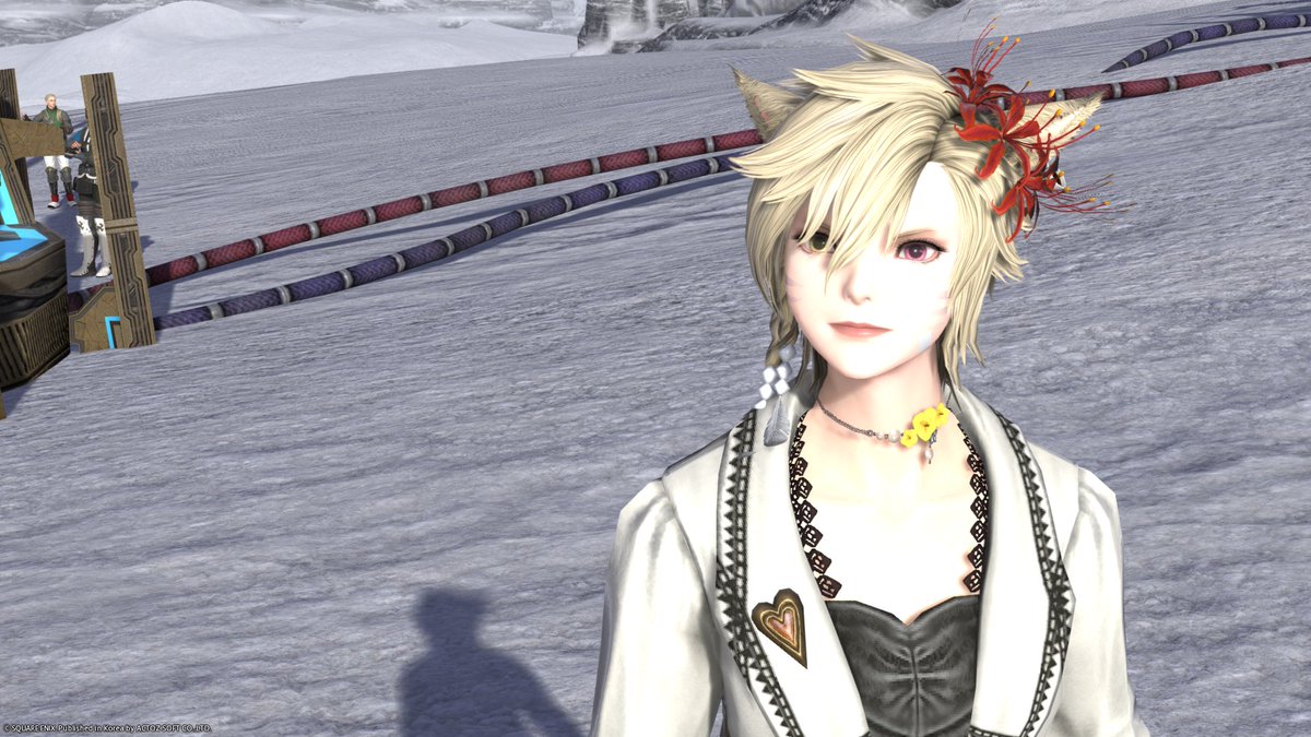 dreaming_ff14's tweet photo. @babpool_FF14 요렇게 보내드리면 될까요....? https://t.co/iYqboYKK3D