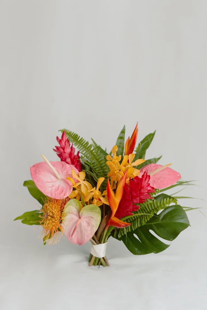 Aldantweets's tweet photo. Tropical flowers are EXTREMELY UNDERRATED!!!! The pop of color is top notch, the unique shapes, the longevity, ARGHHH IM OBSESSED!!!!! 

My heart goes out to these beautiful ladies (and many more) https://t.co/VMTqztJqje