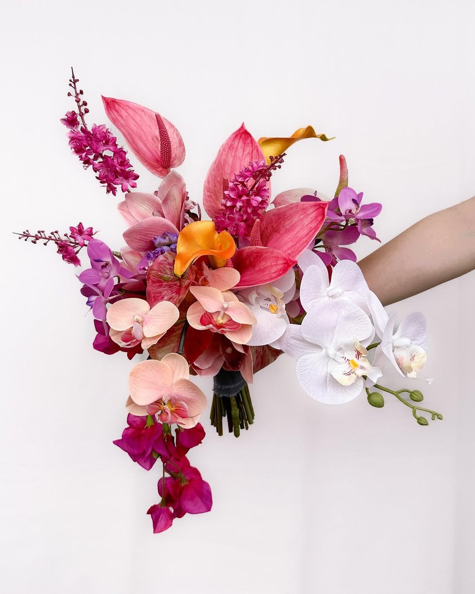 Aldantweets's tweet photo. Tropical flowers are EXTREMELY UNDERRATED!!!! The pop of color is top notch, the unique shapes, the longevity, ARGHHH IM OBSESSED!!!!! 

My heart goes out to these beautiful ladies (and many more) https://t.co/VMTqztJqje