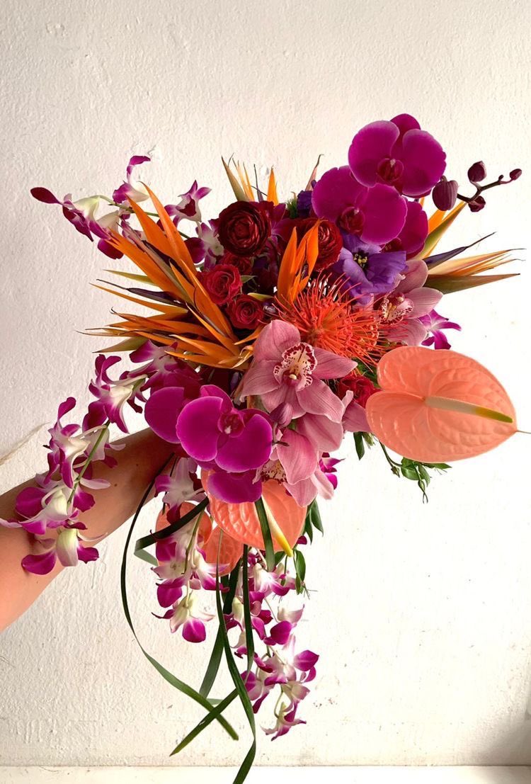 Aldantweets's tweet photo. Tropical flowers are EXTREMELY UNDERRATED!!!! The pop of color is top notch, the unique shapes, the longevity, ARGHHH IM OBSESSED!!!!! 

My heart goes out to these beautiful ladies (and many more) https://t.co/VMTqztJqje