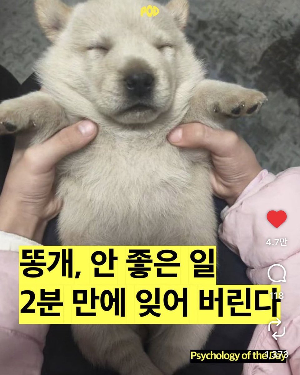 zdxiangsi's tweet photo. 이거 하선이 https://t.co/Ce9053AKH8