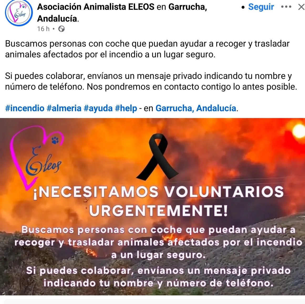 SolDifunde's tweet photo. Se necesita AYUDA URGENTE 🆘🆘 

Para recoger y trasladar animales del INCENDIO ‼️‼️

#ANDALUCIA #GARRUCHA #ALMERIA https://t.co/dAhrelhEb4