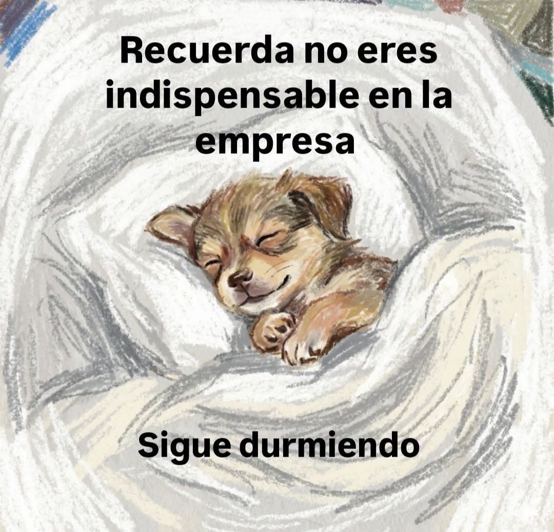 angelo_uf's tweet photo. https://t.co/OZvdO8ZqMM