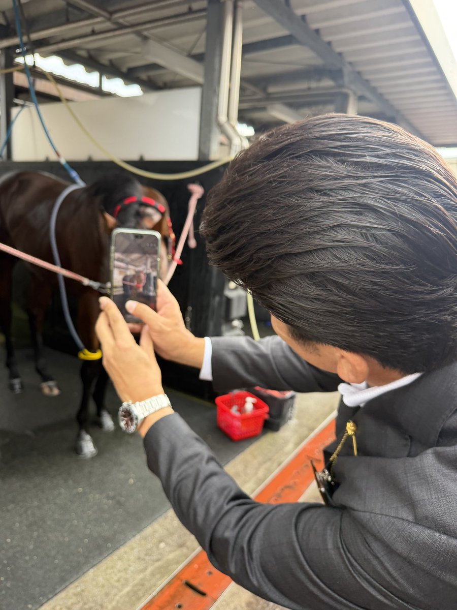 m_nagisa0930's tweet photo. リーゼントエース🐴４着でした〜

まずは無事に完走してくれて、ホッとしました😊

次走以降の上積みに期待します🌟

今後も温かく見守っていただけると嬉しいです☺️

ありがとうございました❣️

#WORLDHORSEDAY https://t.co/LIT59cAen1