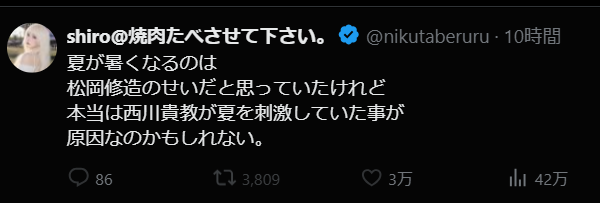 これも同じコメント欄からですね。 完璧で無駄のない名文を余計な 文章