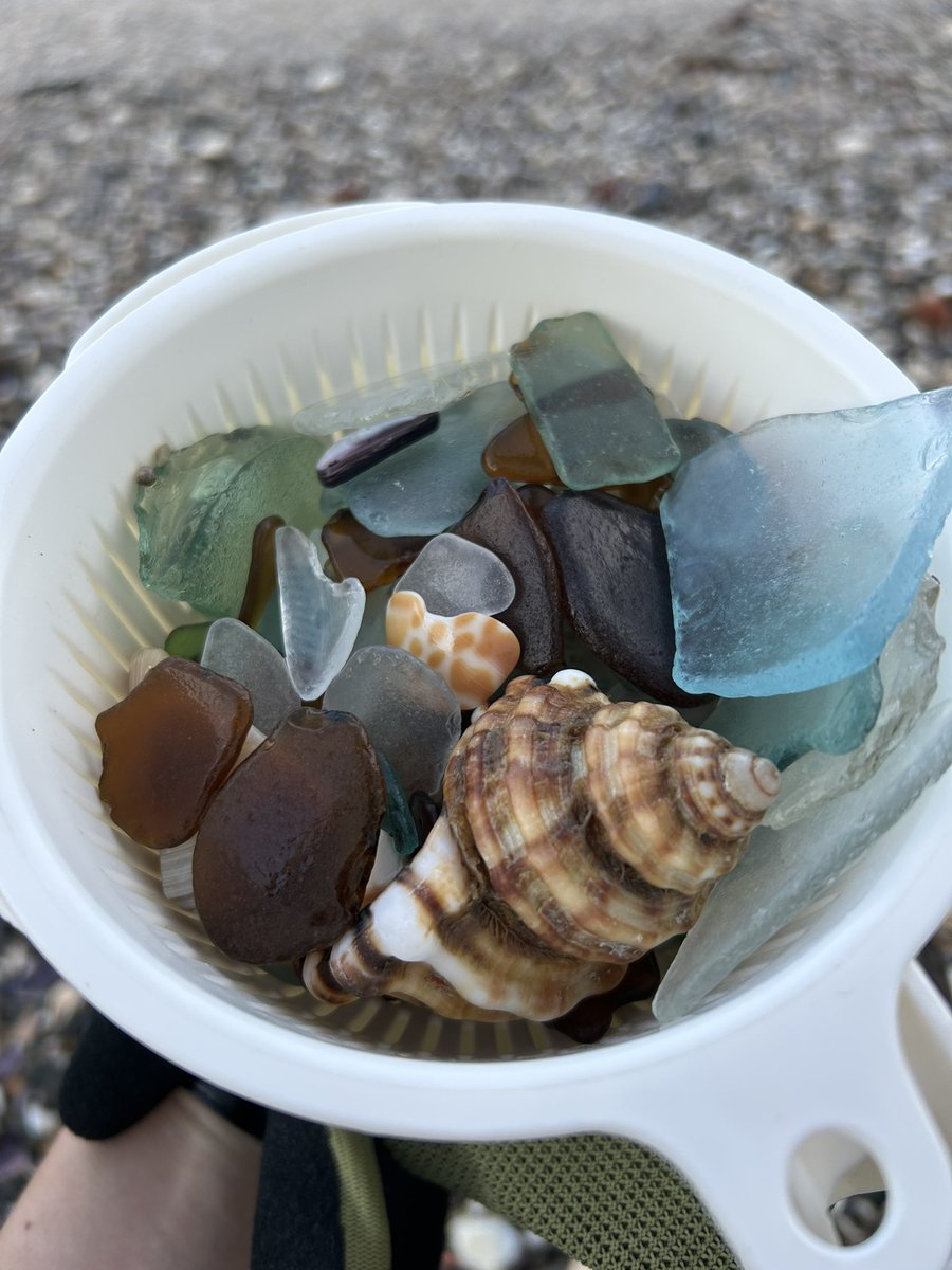 monpopotan's tweet photo. さて、何をつくろうか〜🐚

#ビーチコーミング #海 #シーグラス https://t.co/vKLaRAU6su