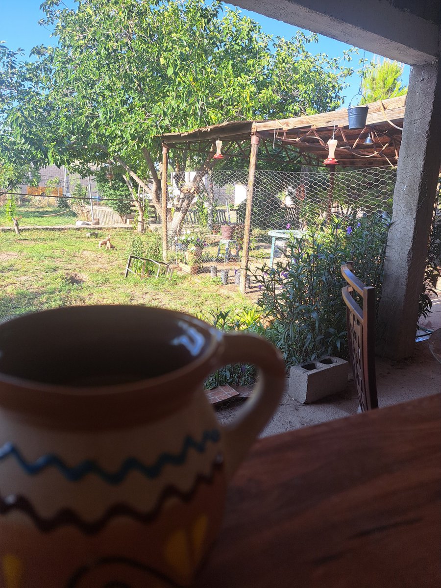 armando_villac's tweet photo. Buenos días muchachitos.
Excelente sabadrink para todos los mayores de edad y buena copa. https://t.co/6hZwVRDC2A
