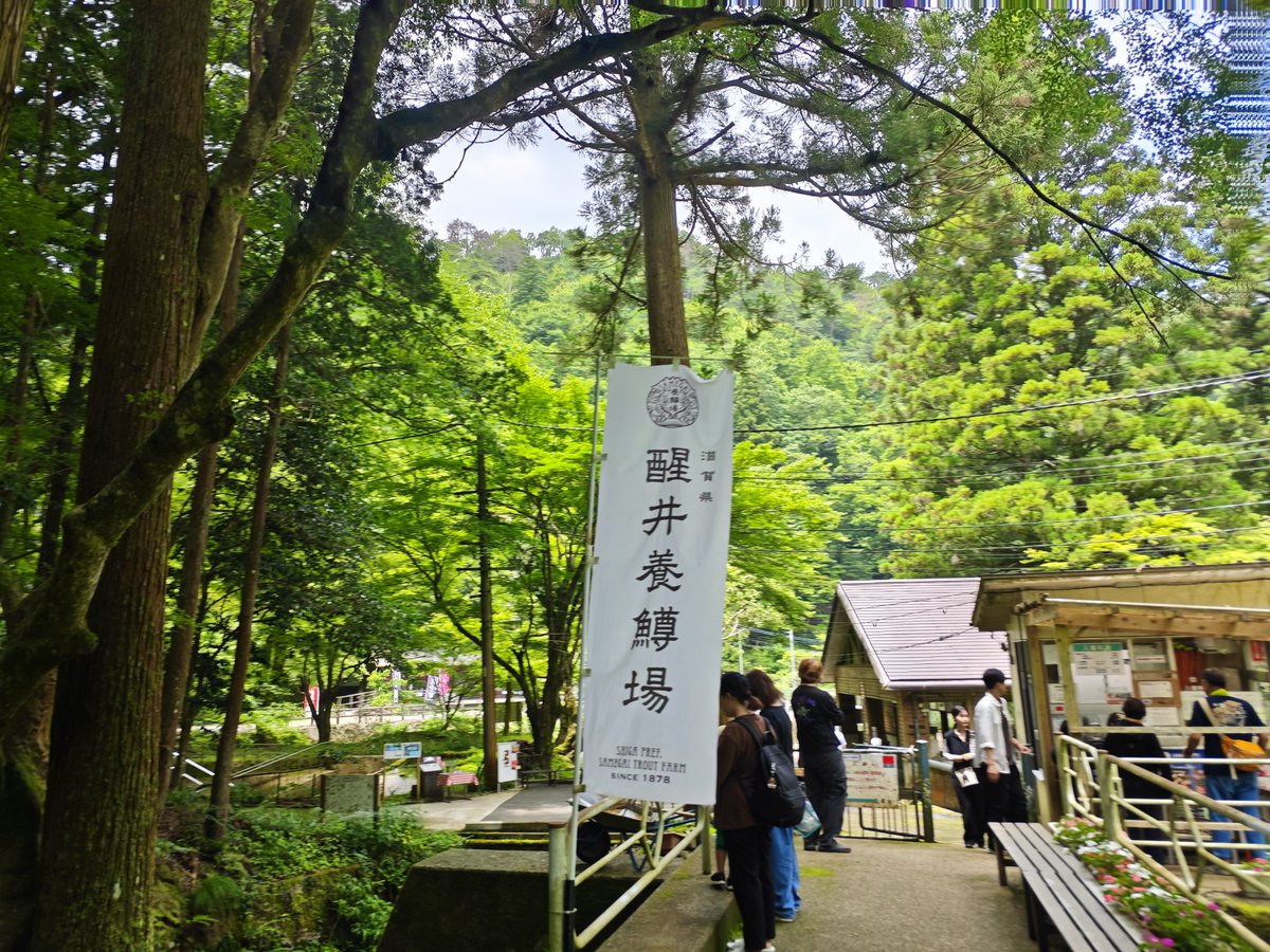 K_Bears_Comics's tweet photo. マス釣りに行ってきた
ものの20分で大漁（釣り堀だけども）
量り売りだからとり過ぎ注意 https://t.co/VeSSOQ0LTo