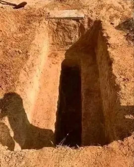 AlgallaliAzawey's tweet photo. عن البراء رضي الله عنه قال :
↩️"كُنا مع رسول الله (ﷺ) : 
في جنازة فجلس على شفير القبر فبكى حتى بـلَّ الـثـرى ثــم قــال .. يا إخواني لمثل هذا فأعدوا"
📚[ صحيح أبن ماجه(3402)] https://t.co/V4J5CcvvDL