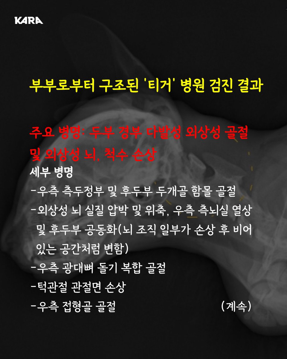 ekara_org's tweet photo. 🚨탄원요청🚨 고양이 푸, 티거, 살구, 새로를 위해 함께 목소리를 내주세요!

분당의 한 부부가 기르던 고양이들의 검사 결과 수많은 골절, 뇌 척수 손상 등의 진단이 내려졌습니다.

‼️수의사 소견: 손상 범위 중증도를 고려할 때 일반 사고로 설명하기 어려우며 비사고성 외상 가능성 고려할 수 있음 https://t.co/IB6ka7yprp