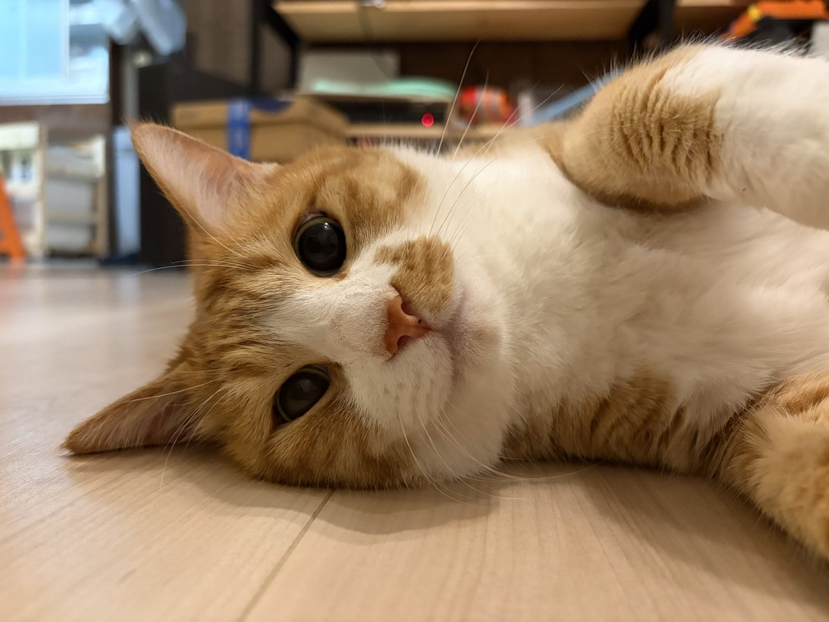 gabuken's tweet photo. https://t.co/V9RHUQezAN