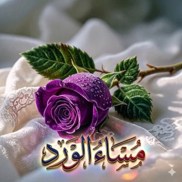 //آبّن:عَـــلَآن.لَلَدُعَمِ//Yemen// tweet media