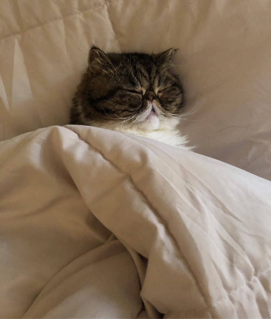 nnzeus's tweet photo. Sleep soundly, but tomorrow all hell breaks loose... Heh https://t.co/sqER3d2Xw1