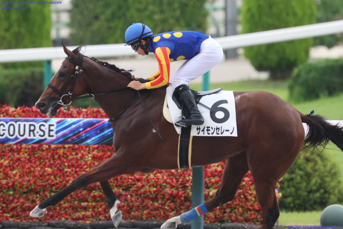 3歳未勝利