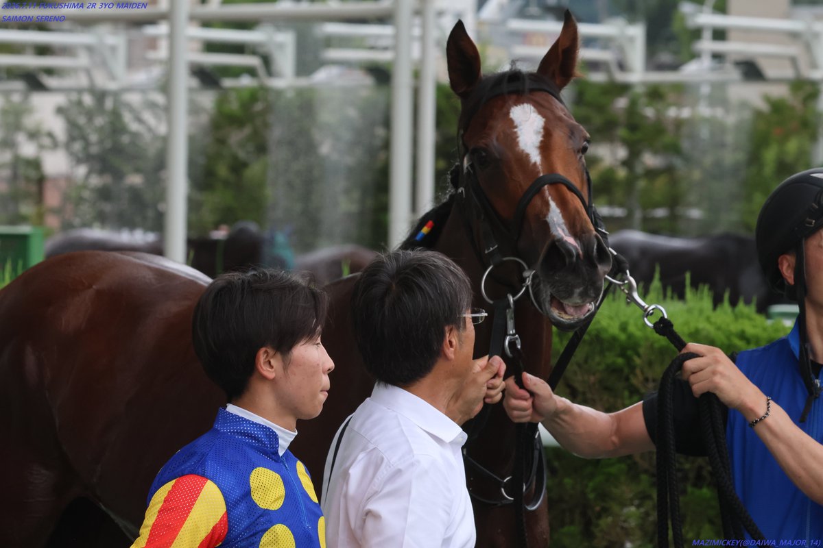 3歳未勝利