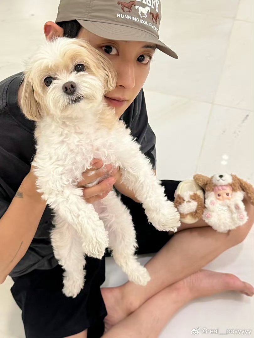 no_loey_no_life's tweet photo. THEY ARE THE CUTEST 🤍 https://t.co/3GaKdvIxET