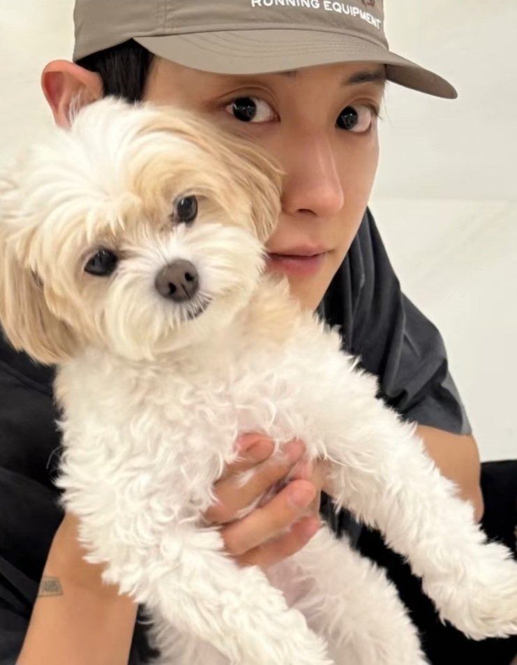 no_loey_no_life's tweet photo. THEY ARE THE CUTEST 🤍 https://t.co/3GaKdvIxET