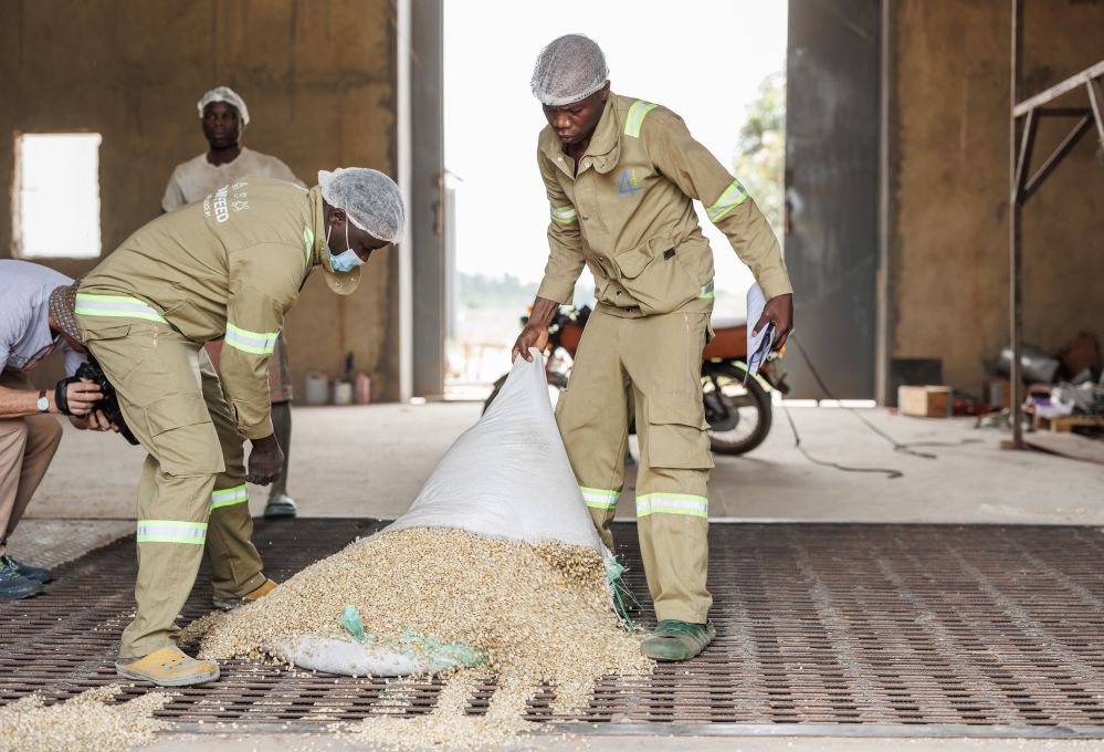 IFADespanol's tweet photo. Las mipymes rurales conectan a pequeños productores con mercados, crean empleo y agregan valor a los alimentos. De Uganda a Cabo Verde, el FIDA impulsa financiación, alianzas e innovación para que estas empresas crezcan y fortalezcan economías locales. 

https://t.co/ez8c0rFxlb https://t.co/ULeoFmMIh1