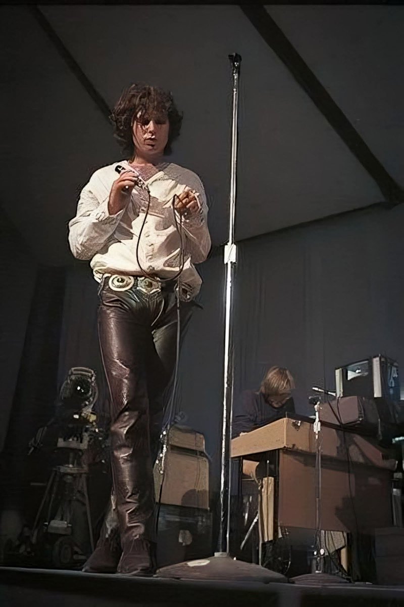 Jim Morrison ( Fan profile) tweet media