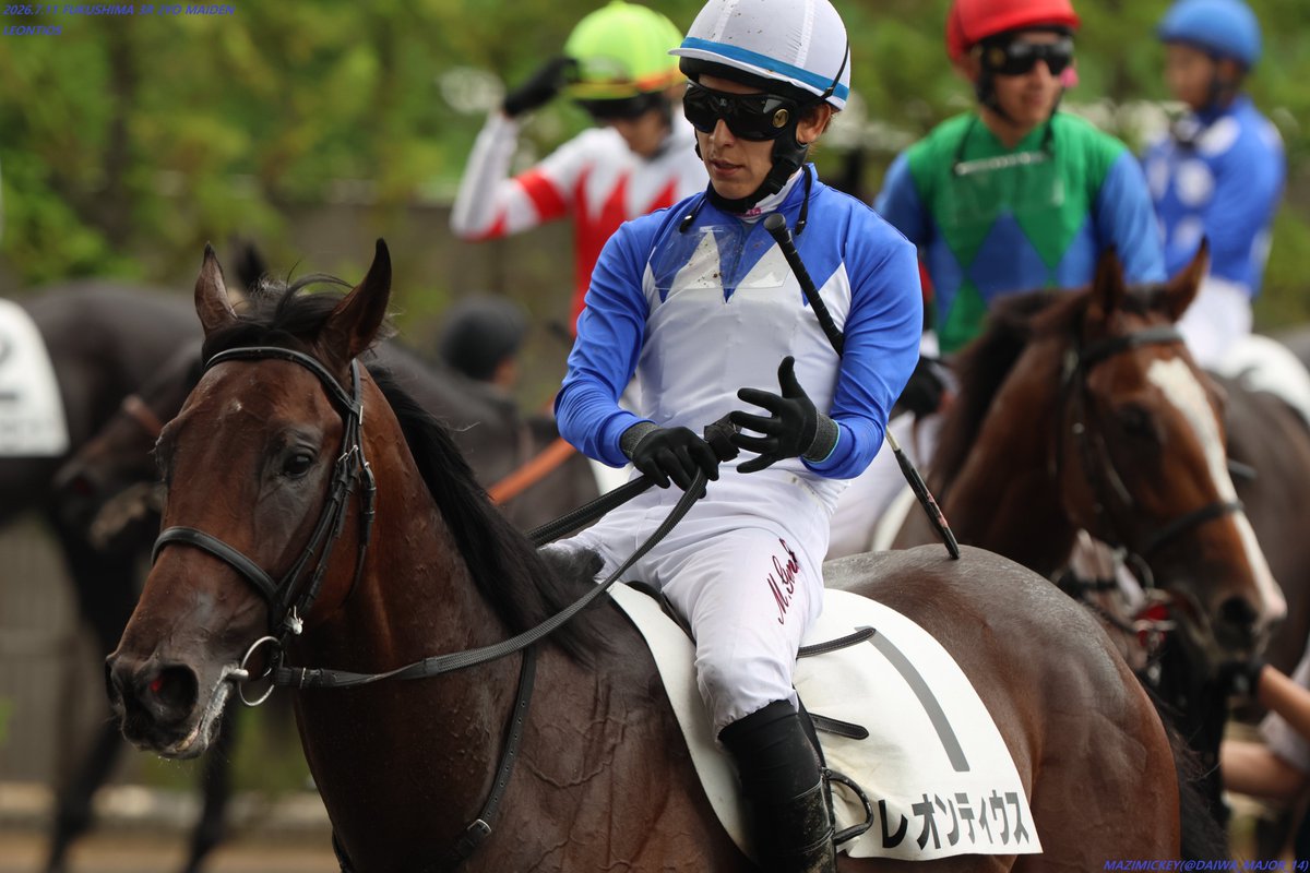 三歳未勝利様確認用 3歳未勝利