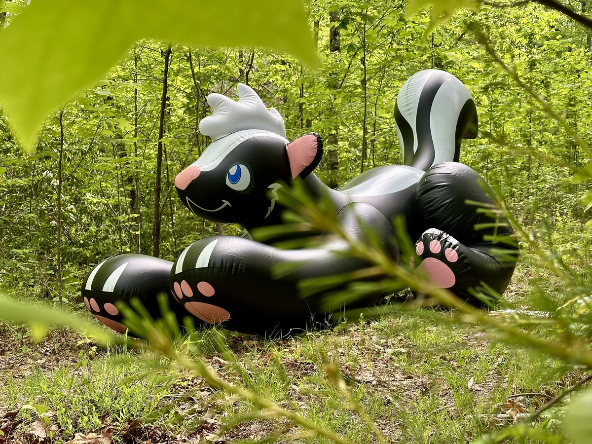 WildDog_Kai's tweet photo. Some crazy looking wildlife around here 🤔
#squeakysaturday https://t.co/agBUmkReAr
