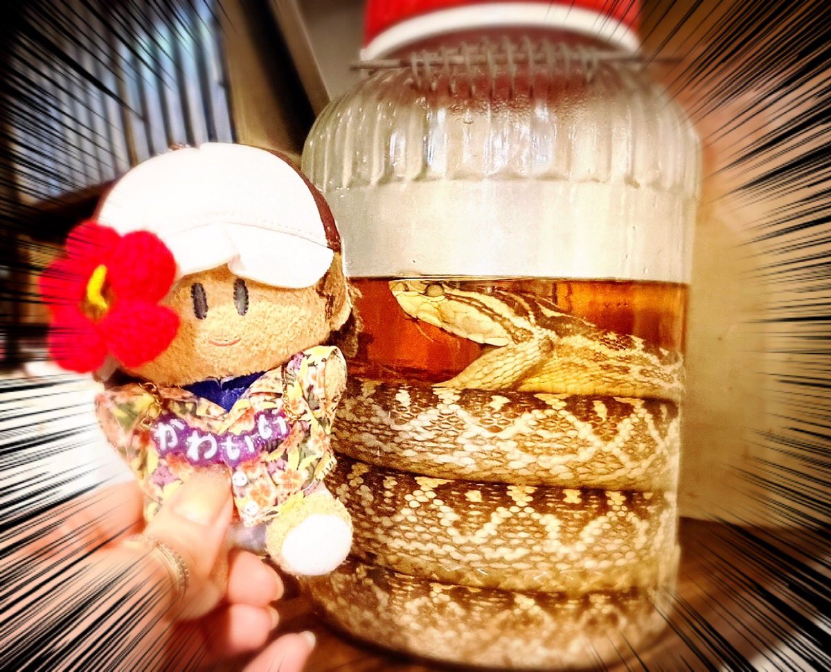 ame_tt's tweet photo. テニミュ後の沖縄居酒屋てサイコー https://t.co/jopyPUei5A