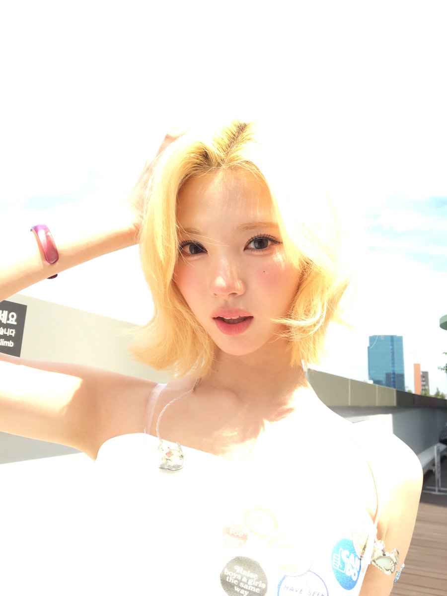 picscjiwoo's tweet photo. weverse update ♡ #JIWOO https://t.co/LuDT5xagbv