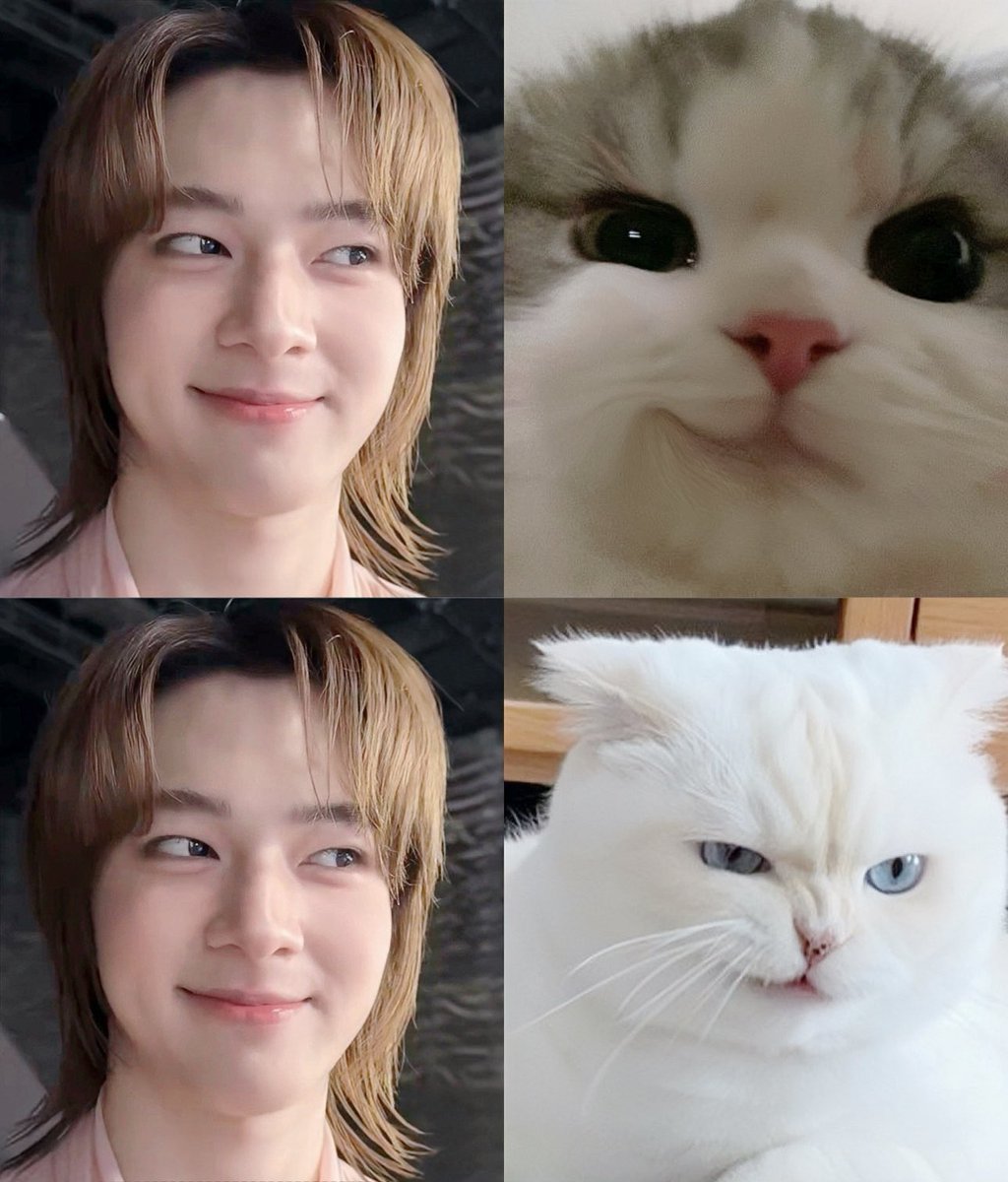 coolkittyhomie's tweet photo. ห้ามจอดรถขวางประตู 😏 

#D7xNuNew
#NuNew ♡ @CwrNew https://t.co/cdbMoJPhqa