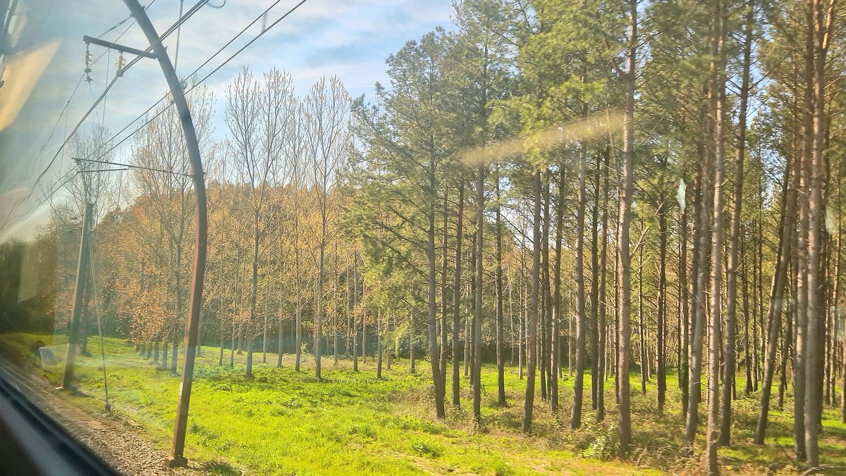 sgenmobilite's tweet photo. 📽 TGV OUIGO 🚄 Duplex Dasye HD : Paris - Montparnasse ➡️ Hendaye 🎥
https://t.co/FHtUC5HCyI
#parishendaye #ouigo #tgvouigo #cotebasque #dax #bayonne #biarritz #saintjeandeluz #hendaye https://t.co/aerngq3UGW