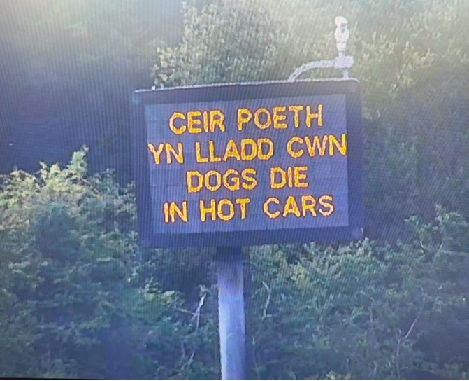 TrafficWalesN's tweet photo. 🐶Never leave your dog alone in a car on a warm day, not even with the windows left open.

🌡️The RSPCA says that if it’s 22 degrees outside, the inside of a car can reach unbearable temperatures of 47 degrees within one hour, which can lead to heart-breaking consequences. https://t.co/M0tYJBpzcA