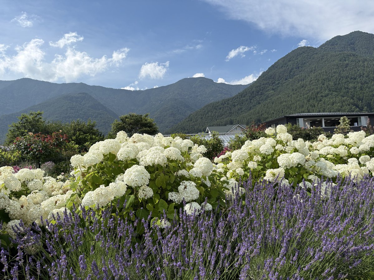 nichijho_'s tweet photo. 🗻🪻とてもよい一日🖼️🌿
メニメニ外国人🌎worldwide Mt.Fujiネ🗣️ https://t.co/ZXgWaUrPIn