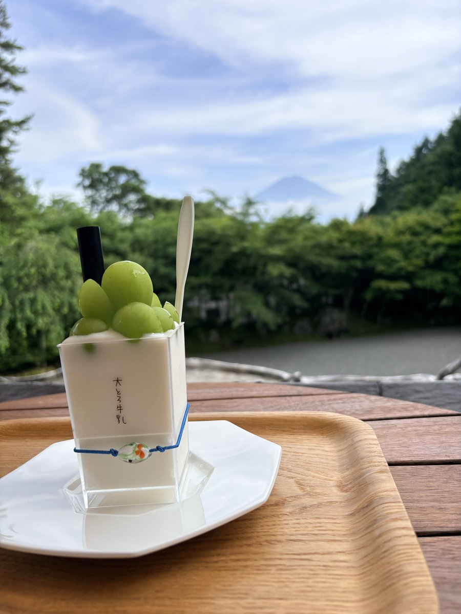 nichijho_'s tweet photo. 🗻🪻とてもよい一日🖼️🌿
メニメニ外国人🌎worldwide Mt.Fujiネ🗣️ https://t.co/ZXgWaUrPIn