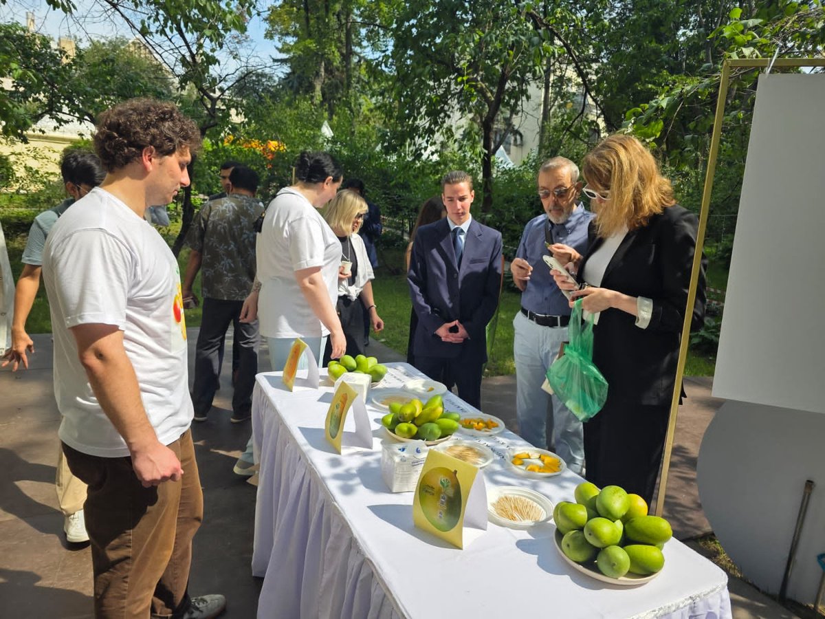 IndEmbMoscow's tweet photo. Tasting success! The Embassy, @APEDADOC & @DoC_GoI showcased elite #Chausa, #Dasheri, & #Langra mangoes at the Indian Summer Bazaar. From the festival to the shelves.  🥭 

Actively promoting India's "King of Fruits" to become a household favorite across Russia! 👑🇷🇺🇮🇳

@PMOIndia @MEAIndia @vkumar1969 @PIB_India @DDNewslive @ANI @PTI_News @airnewsalerts