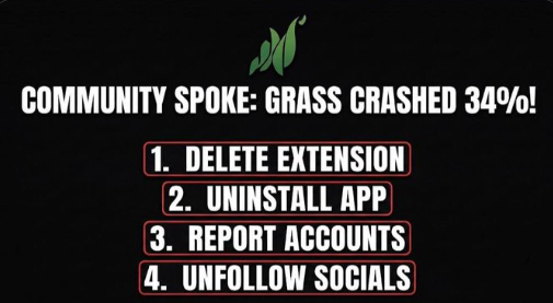 0xNobzee's tweet photo. @grass https://t.co/YxhSdEXG73