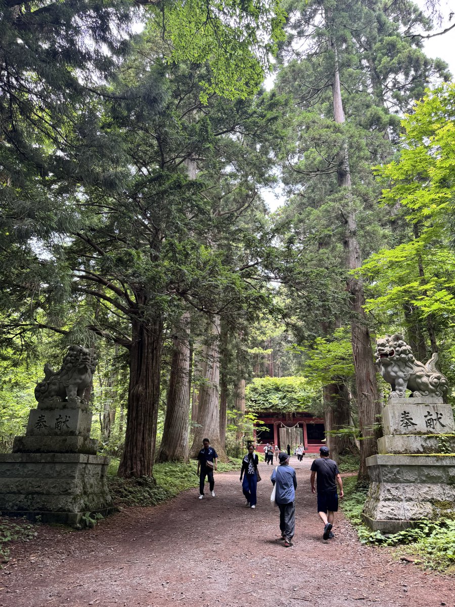 greconoomake2's tweet photo. なんとなく戸隠神社の奥社に行ってみようと足を踏み入れたらめちゃくちゃ長い山道で来たことを後悔した😂とても気持ちの良いところだけどバイクブーツで来ては行けません！ https://t.co/74fdjPFYZ0