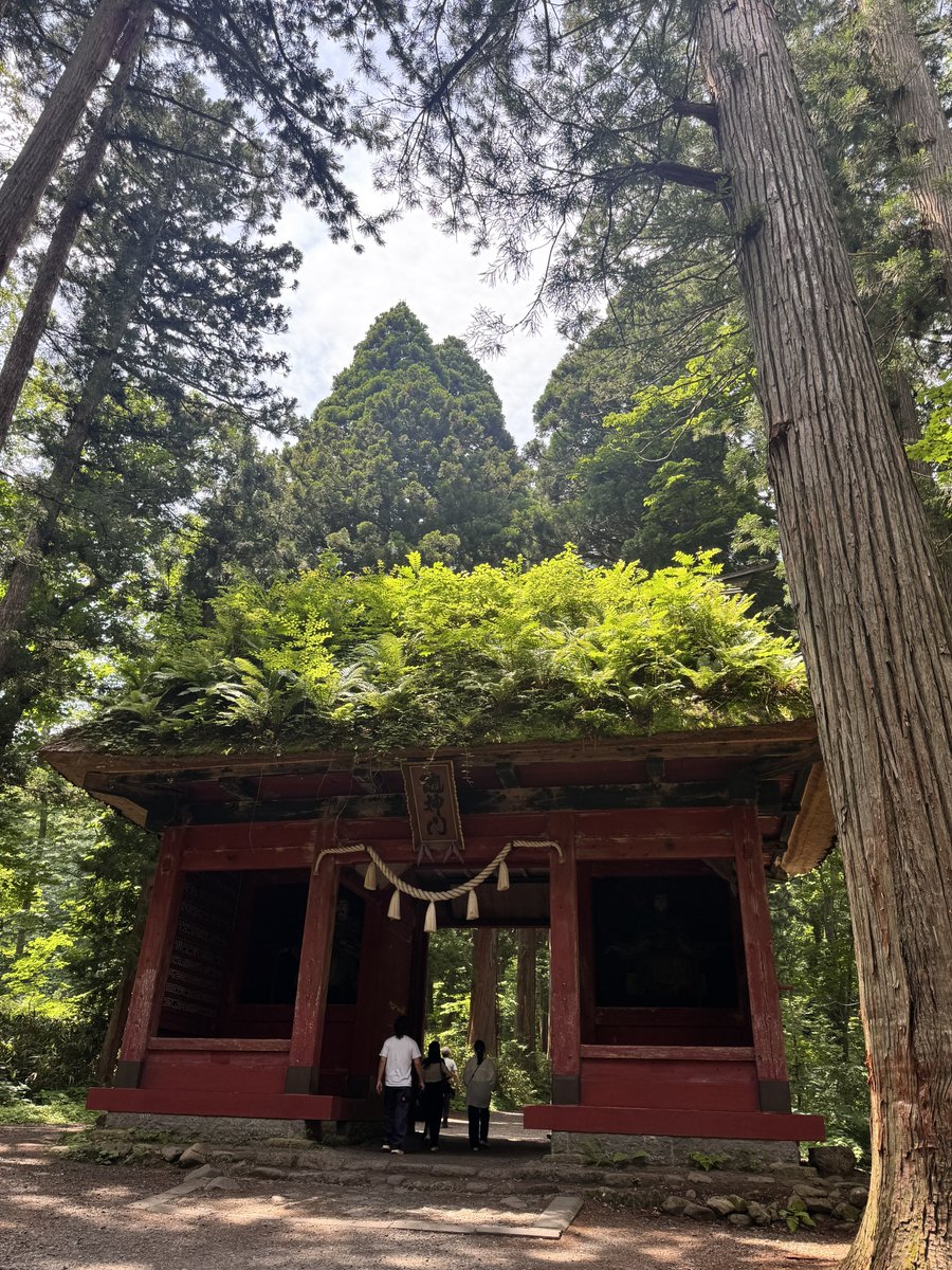 greconoomake2's tweet photo. なんとなく戸隠神社の奥社に行ってみようと足を踏み入れたらめちゃくちゃ長い山道で来たことを後悔した😂とても気持ちの良いところだけどバイクブーツで来ては行けません！ https://t.co/74fdjPFYZ0