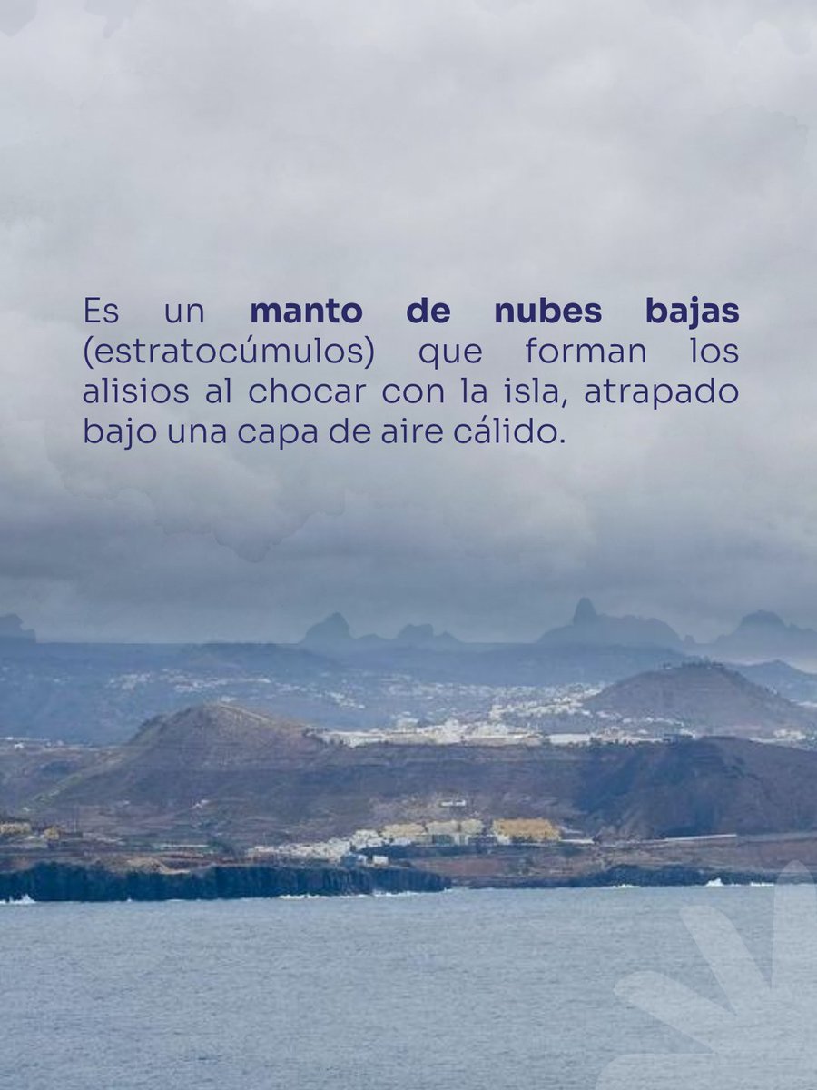 LpaVisit's tweet photo. ¿𝗖𝗶𝗲𝗹𝗼 𝗰𝘂𝗯𝗶𝗲𝗿𝘁𝗼 𝗮𝗹 𝗹𝗹𝗲𝗴𝗮𝗿 𝗮 𝗟𝗮𝘀 𝗣𝗮𝗹𝗺𝗮𝘀 𝗱𝗲 𝗚𝗿𝗮𝗻 𝗖𝗮𝗻𝗮𝗿𝗶𝗮? No es mal tiempo, es la panza de burro 🫏

#LasPalmasDeGranCanaria #PanzaDeBurro #GranCanaria #VientosAlisios https://t.co/g0TIoQ3sB4