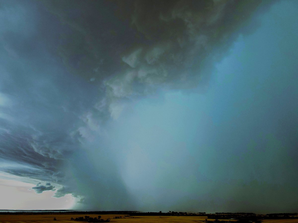 West Weather Watchers 🌧️⛈️🌞⚡ tweet media