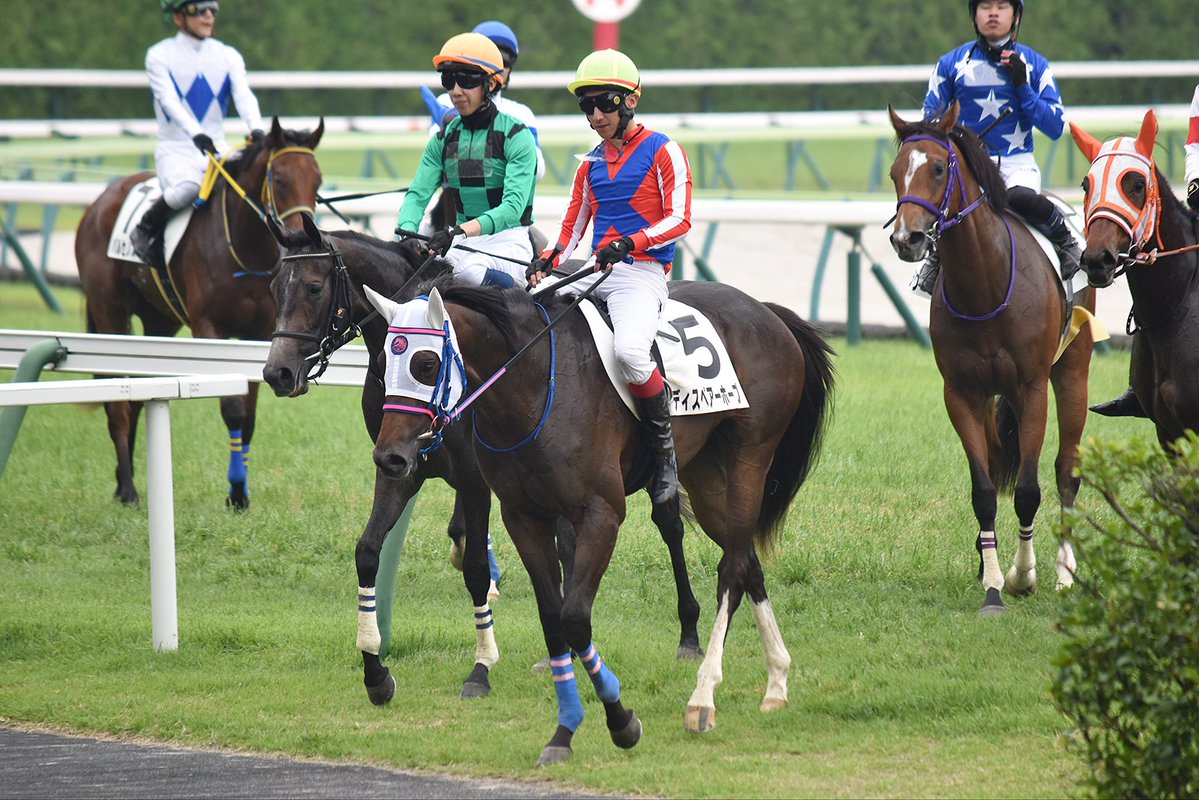 uma_uma_cha's tweet photo. 2026/7/11 福島5R

ディスペアーホープ

デビューおめでとう！
勝ち馬とのタイム差もほぼ無いのでレース数こなしていけば勝利も近いはず☺️

#小手川準厩舎
#菊沢一樹
#ディスペアーホープ https://t.co/gFN9eZvqBV