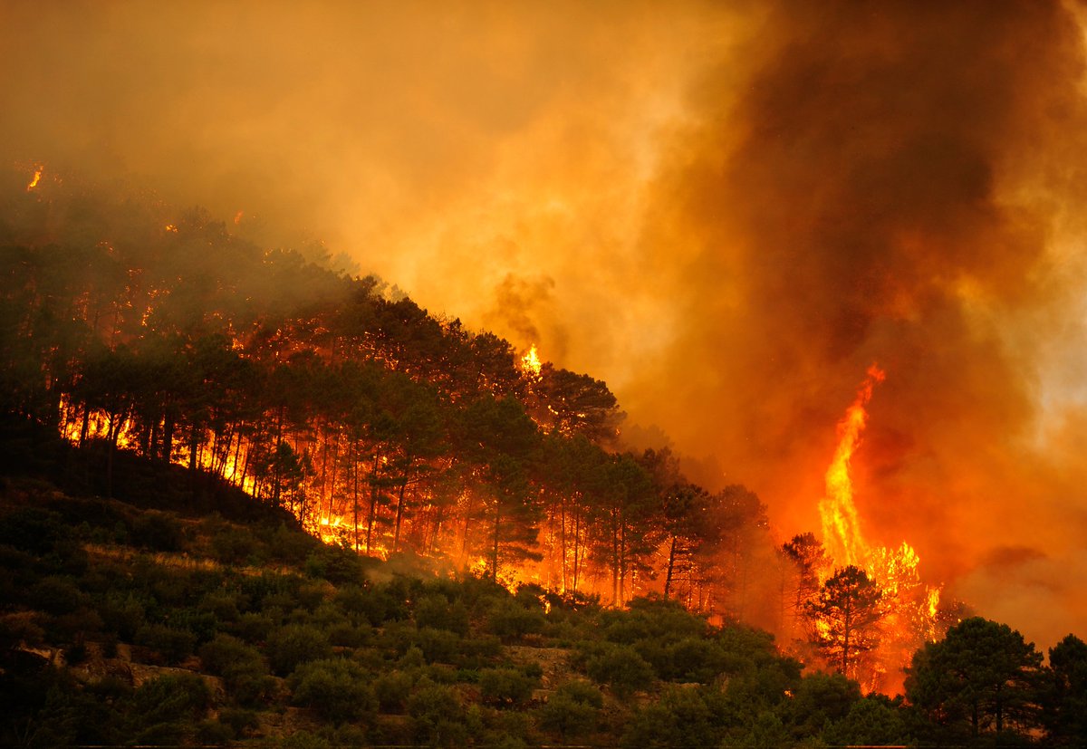 LuisVMoreno's tweet photo. Los incendios SÍ son una #PrioridadNacional, y de eso VOX no dice ni mu. https://t.co/5zqpoKa7Tr