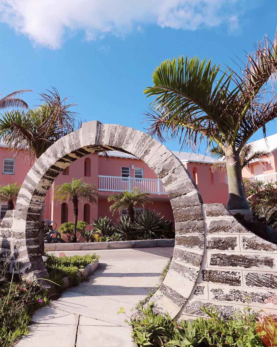 Bermuda tweet media