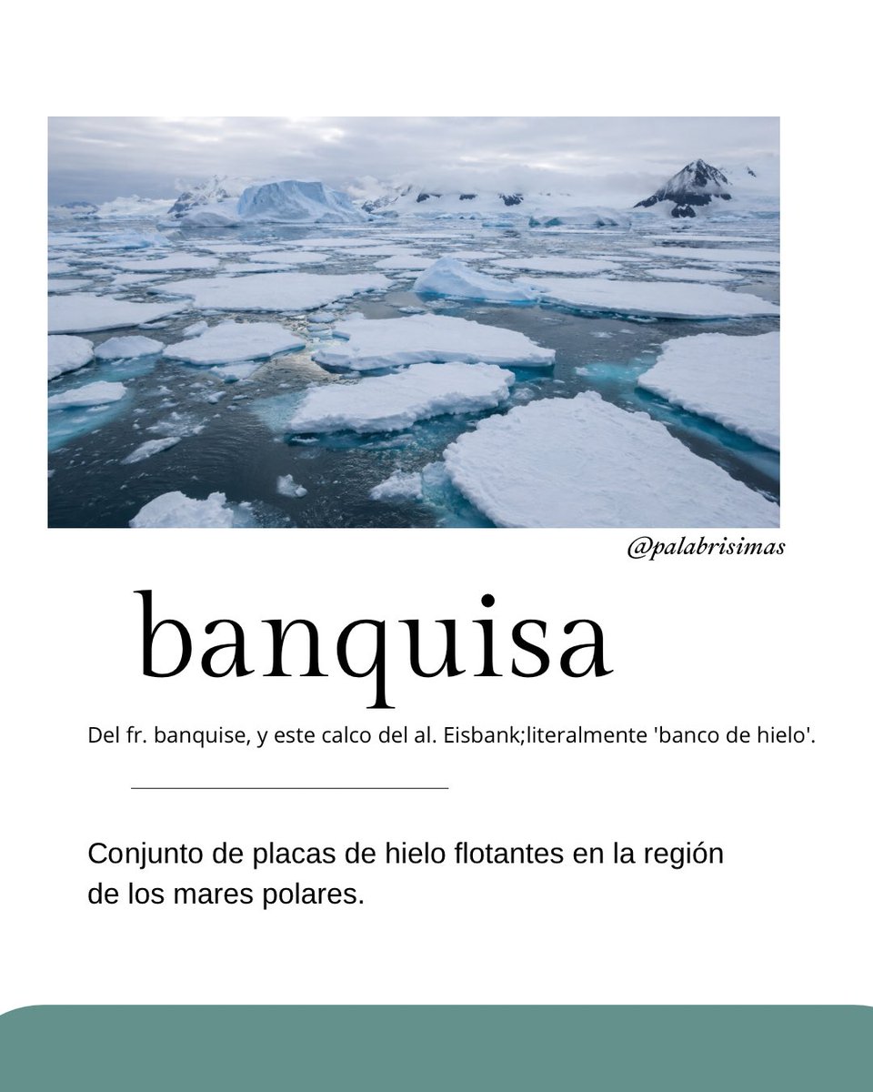 carallochosco's tweet photo. 📗#Diccionario📗
1) Banquisa
🆚
2) Borborigmo
By @palabrisimas
#Vocabulario #laspalabrasdeldia #lexico @RAEinforma #semantica #expresiones #significado @emilio_delrio @aceytuno @palabraDLE @palabradia @palabradeldiamx @Atardecer_90 @linguistica https://t.co/hpEtktdlbe