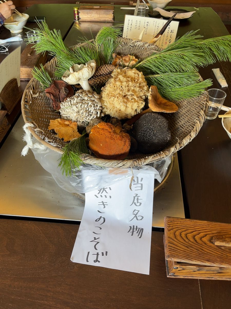 _sakuji's tweet photo. 手打ちそばたきざわ＠松本/三才山で、天然きのこそば（温）＋じねんじょそば（冷）。店主が採ってきた天然きのこが店頭にディスプレイ。この日は味の濃い天然のポルチーニ茸が目玉。連れのじねんじょそばはそばつゆを天然きのこ出汁で割ったもの。自然薯の粘りとコクがすごい。 https://t.co/hrRsaxFiuj