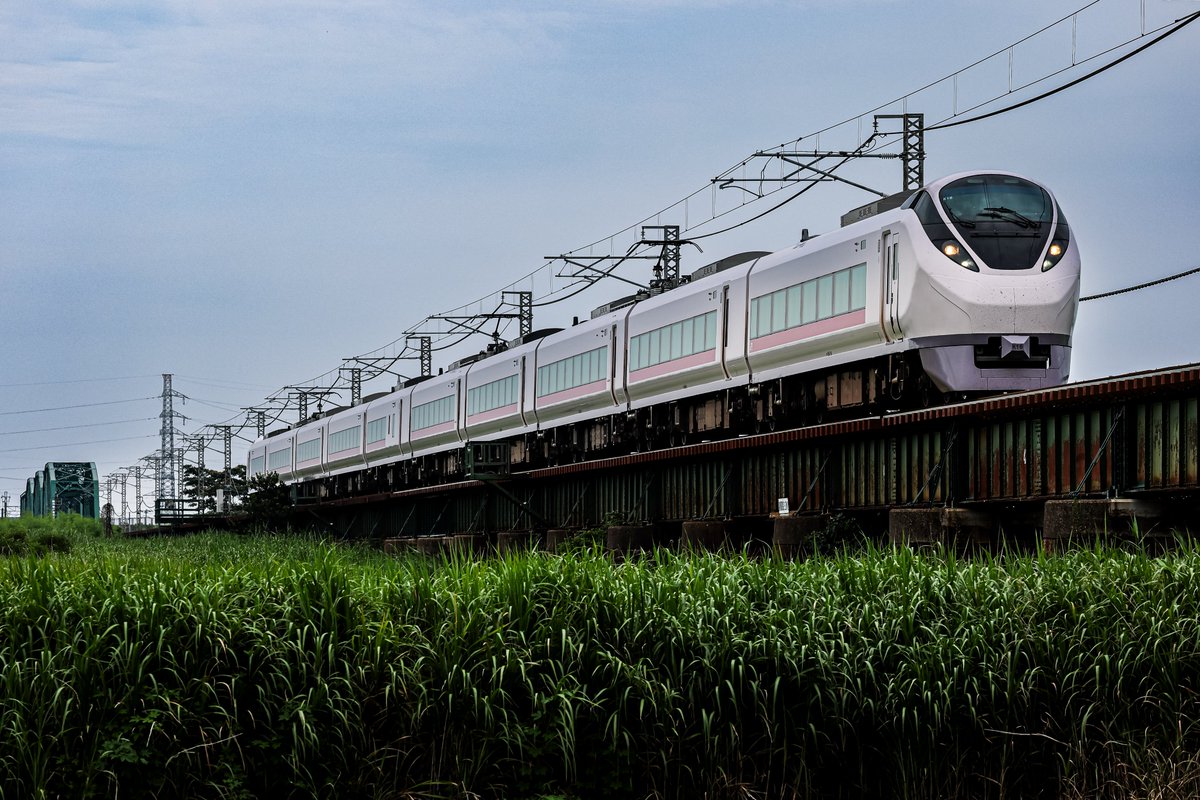 5531Kazuo's tweet photo. 2026/07/11  羽越本線  E657系 K16編成
回9883M
橋梁の下はジャングルだった https://t.co/g9RytD9Xv2