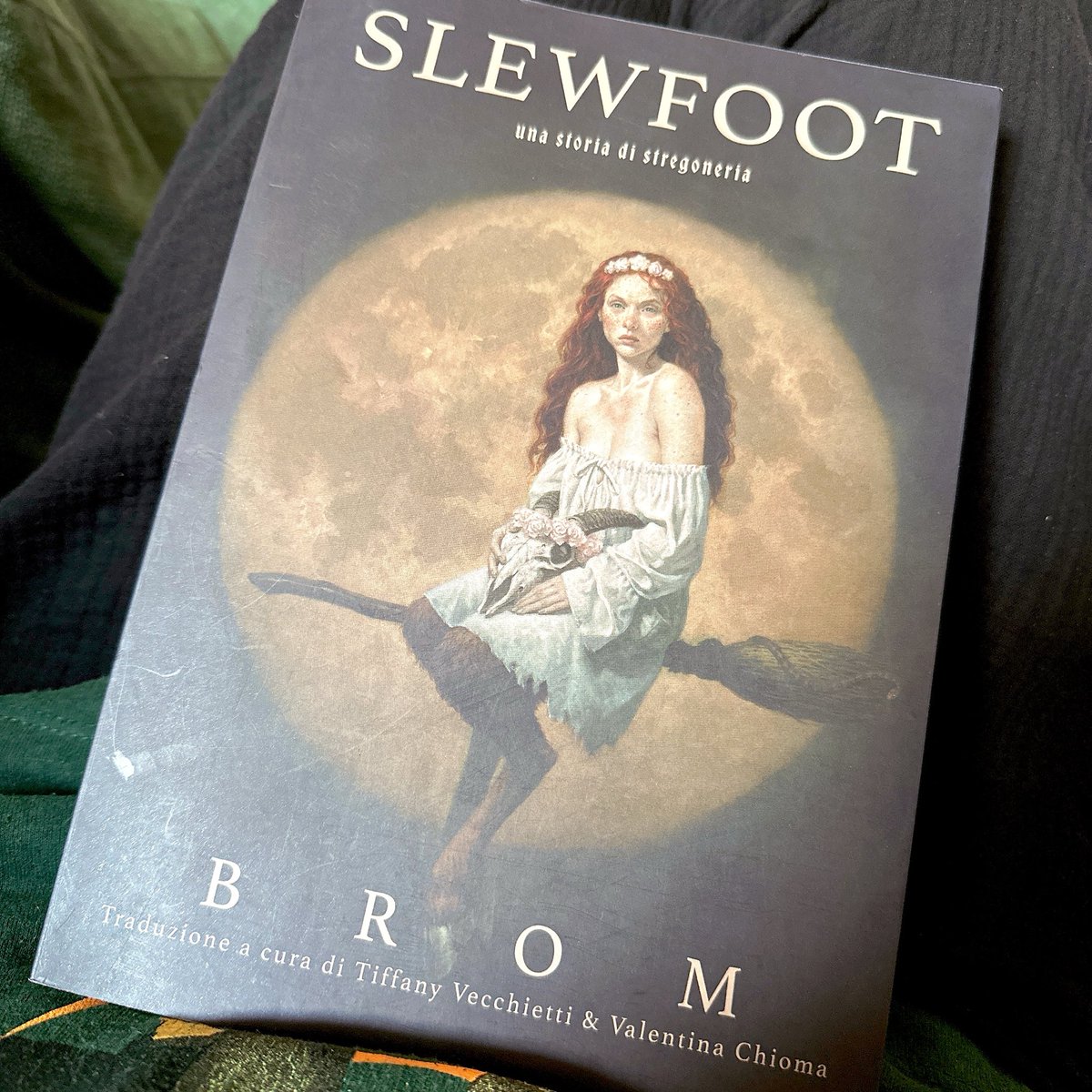 wrdraven's tweet photo. oggi giungerò al traguardo di questo viaggio. questo libro è un pugno nello stomaco. 
bonus: la ricerca dietro la stesura di questo romanzo è davvero molto minuziosa e soddisfacente. 𝘤𝘩𝘢𝘱𝘦𝘢𝘶! https://t.co/D21pu681Hj