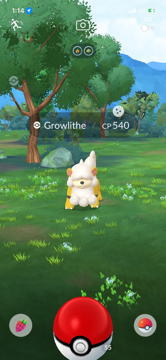olokinprime's tweet photo. Day 1 of GO Fest ends for me with three shinies for my free to play style. 
Raided enough to get those Mewtwo X energy.

#pokemongofest2026 #pokemongo #shinypokemon https://t.co/ELGSW8Cep5