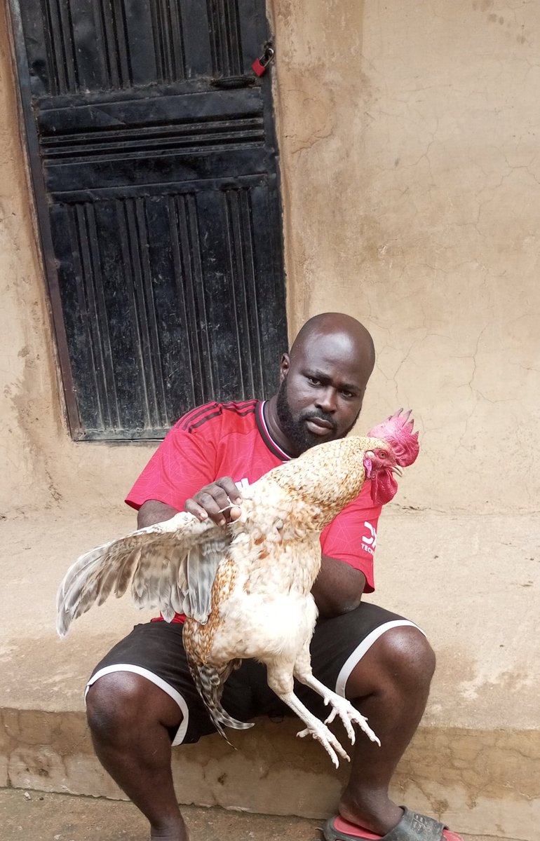 Tope A teacher & A Farmer I Will Never Give Up 💪) tweet media