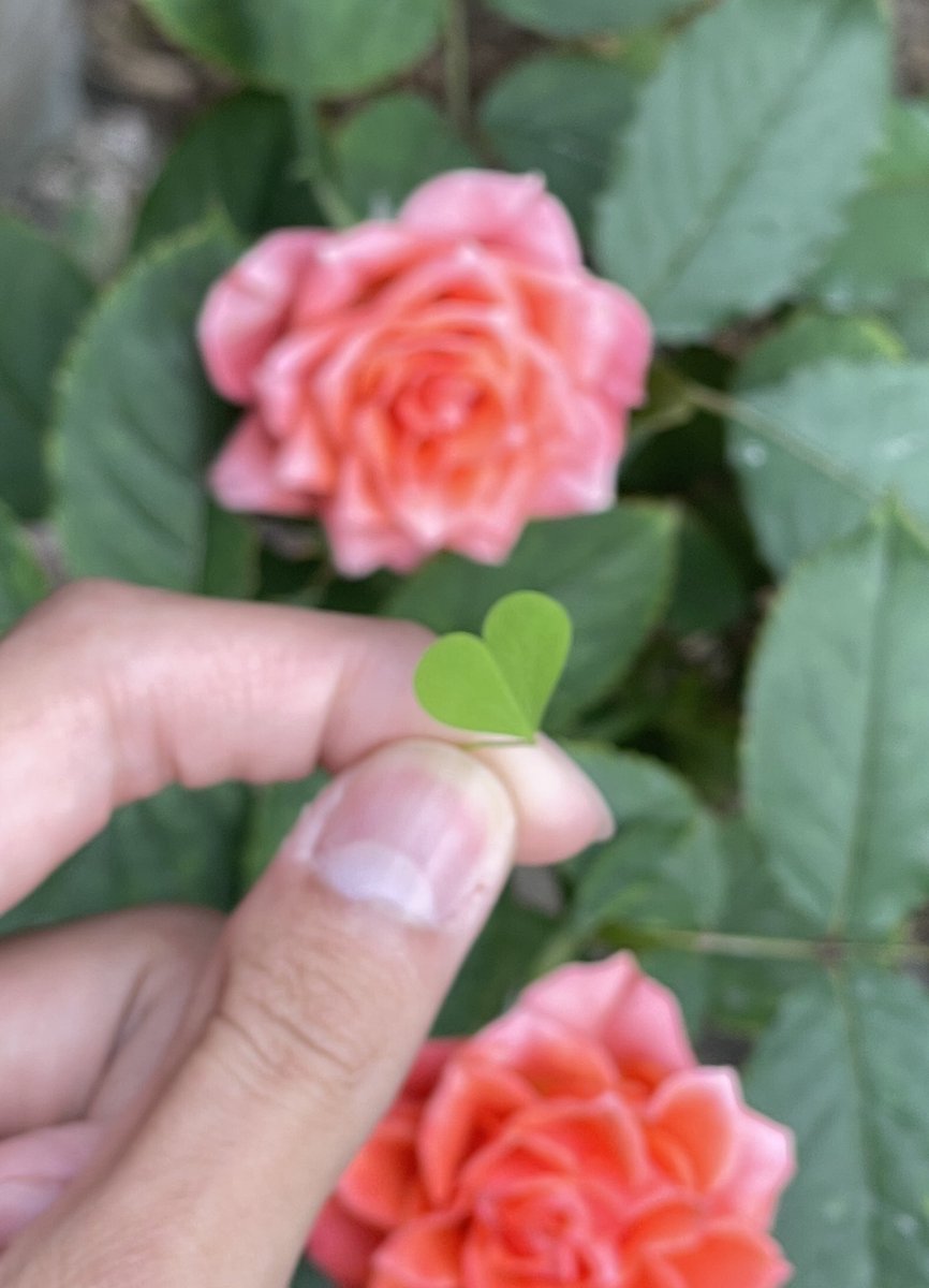HoangSATu's tweet photo. @aestheticsguyy https://t.co/y5dMRDm8ho