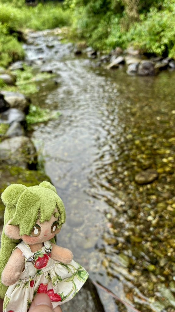 naimono_71's tweet photo. よもぎ初の川 https://t.co/svQXCtTzta