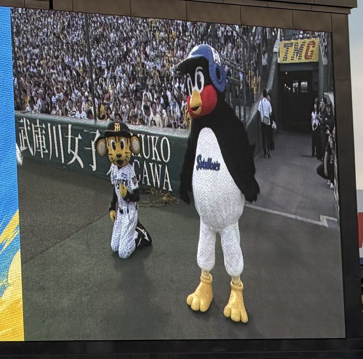 haruna11's tweet photo. ヤクルトの応援、中継でも聞こえる「ハモるトランペット」が好きなんだけど、現場でもいいですねぇ。 https://t.co/JESQ3frAvN